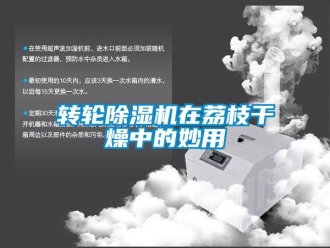 知识百科转轮草莓视频黄色在线观看机在荔枝干燥中的妙用