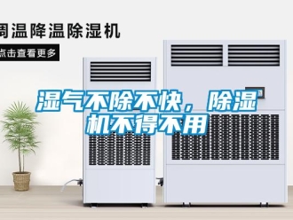 知识百科湿气不除不快，草莓视频黄色在线观看机不得不用