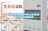 转轮草莓视频黄色在线观看机中的过滤器的定义及作用用途