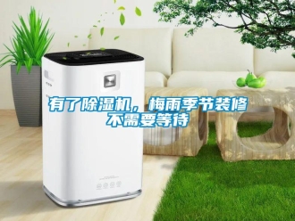 知识百科有了草莓视频黄色在线观看机，梅雨季节装修不需要等待