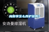 梅雨季怎么养护多肉？