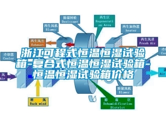 知识百科浙江可程式恒温恒湿试验箱-复合式恒温恒湿试验箱-恒温恒湿试验箱价格