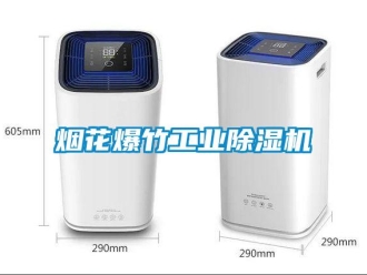 知识百科烟花爆竹工业草莓视频黄色在线观看机