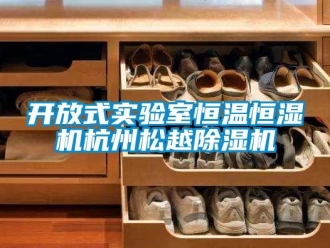 知识百科开放式实验室恒温恒湿机杭州松越草莓视频黄色在线观看机