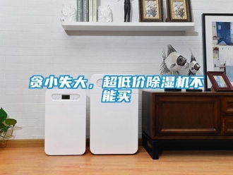 知识百科贪小失大，超低价草莓视频黄色在线观看机不能买