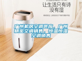 知识百科广州机房空调供应，广州精密空调销售，恒温恒湿空调销售