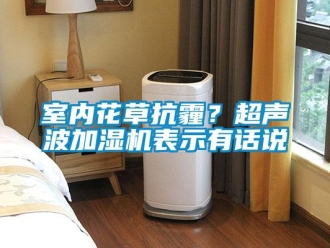 知识百科室内花草抗霾？超声波加湿机表示有话说