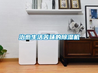 知识百科治愈生活苦味的草莓视频黄色在线观看机