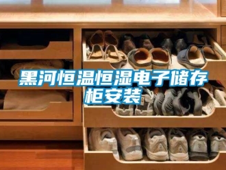知识百科黑河恒温恒湿电子储存柜安装
