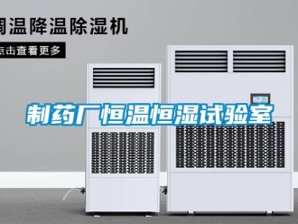 知识百科制药厂恒温恒湿试验室