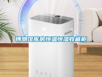 知识百科博物馆库房恒温恒湿收藏柜