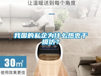 知识百科我国的私企为什么热衷于模仿？