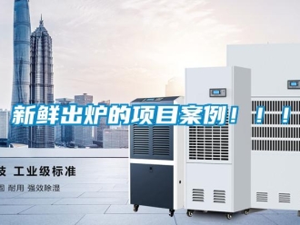 知识百科新鲜出炉的项目案例！！！