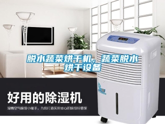 知识百科脱水蔬菜烘干机，蔬菜脱水烘干设备