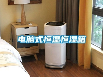 知识百科电脑式恒温恒湿箱