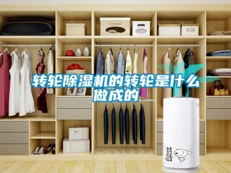 知识百科转轮草莓视频黄色在线观看机的转轮是什么做成的