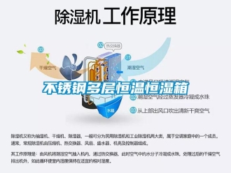知识百科不锈钢多层恒温恒湿箱