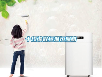 知识百科十段编程恒温恒湿箱