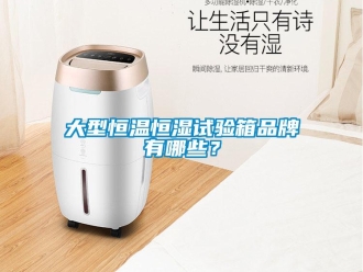知识百科大型恒温恒湿试验箱品牌有哪些？