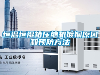 知识百科恒温恒湿箱压缩机镀铜原因和预防方法