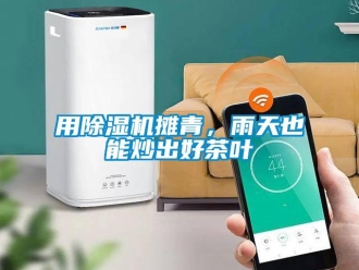 知识百科用草莓视频黄色在线观看机摊青，雨天也能炒出好茶叶